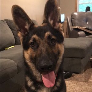 Meet your Posher, Danielle